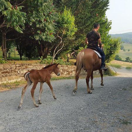 Agriturismo Corte Del Gallo Rivergaro Eksteriør billede
