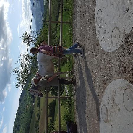 Agriturismo Corte Del Gallo Rivergaro Eksteriør billede