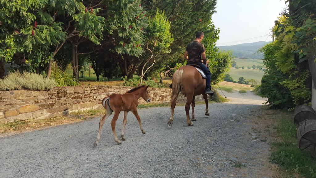 Agriturismo Corte Del Gallo Rivergaro Eksteriør billede
